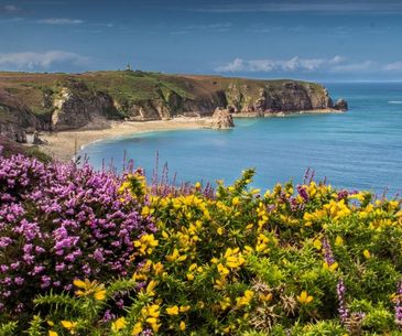 Discover the Enchanting Brittany Coast