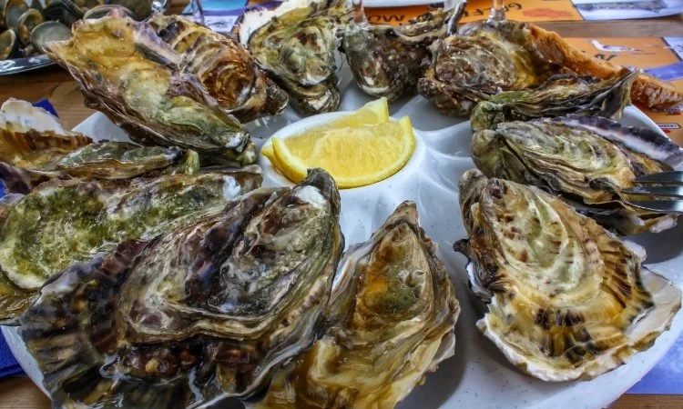 Cancale Oyster Market