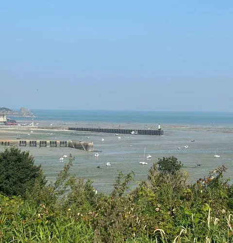 Fresh Cancale oysters