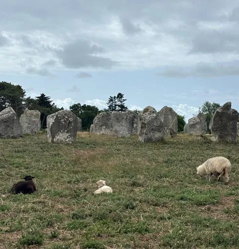 Carnac private guided tour stone alignments Brittany experience