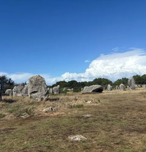 Carnac standing stones menhirs Neolithic Brittany private tour