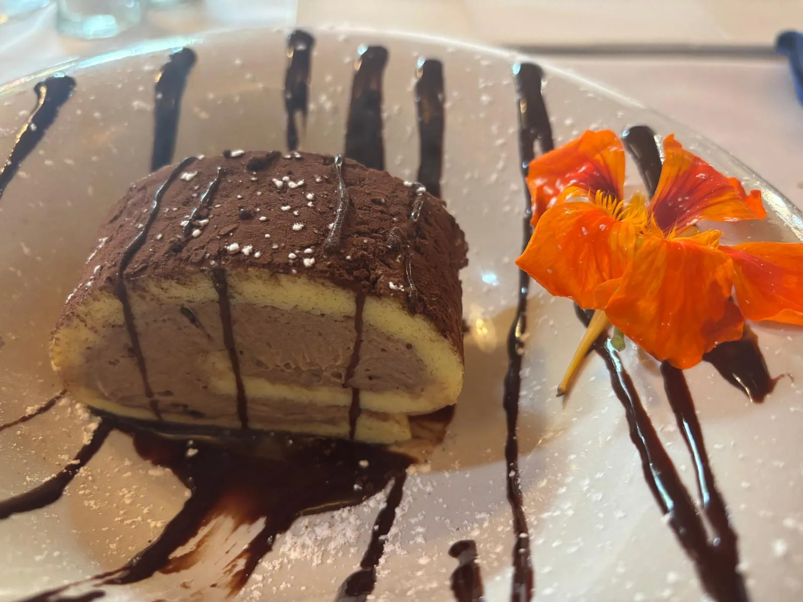 A chocolate dessert dusted with cocoa and chocolate sauce, topped with an orange nasturtium flower