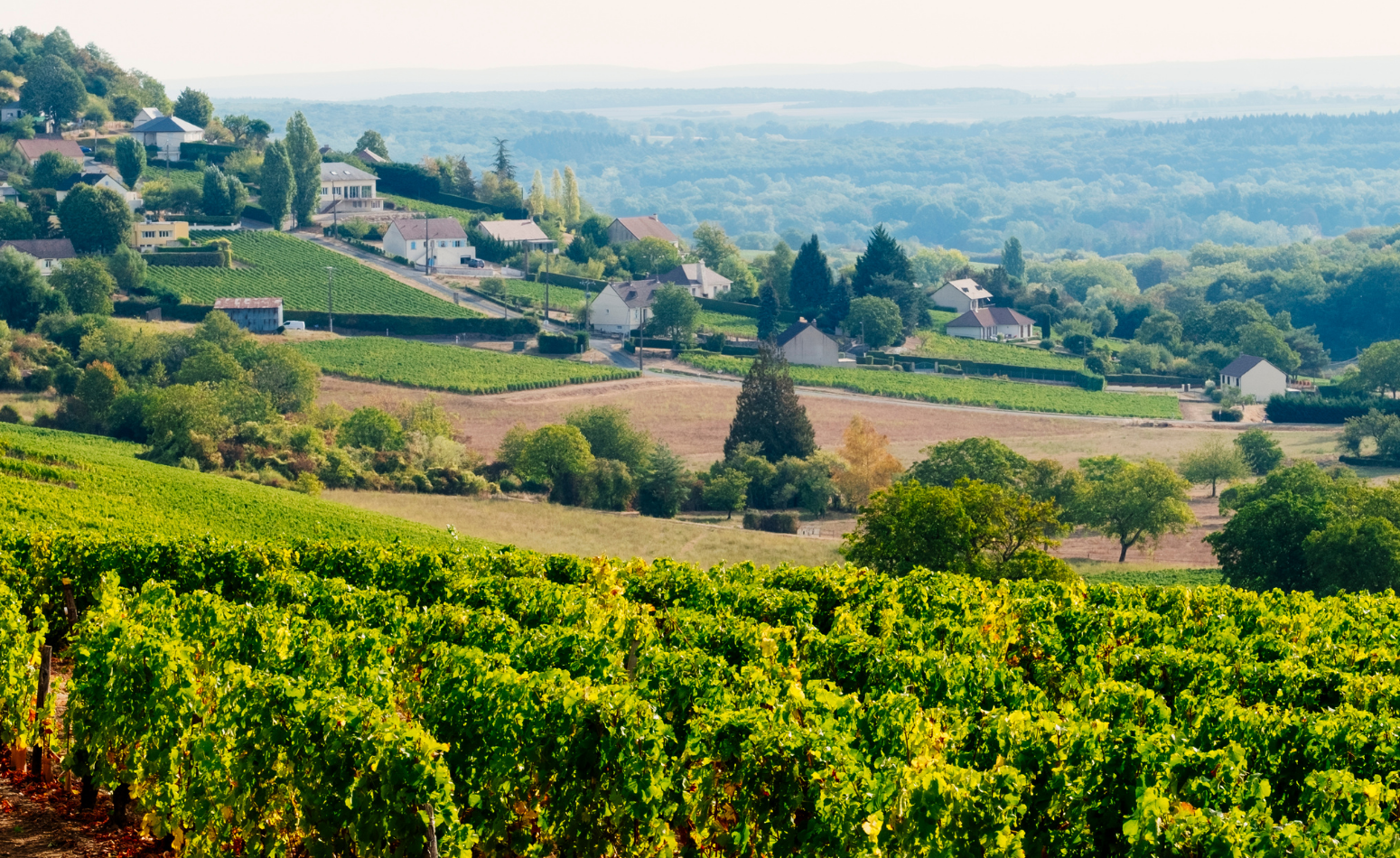 Multi-day Loire Valley private tour Normandy Brittany circuit