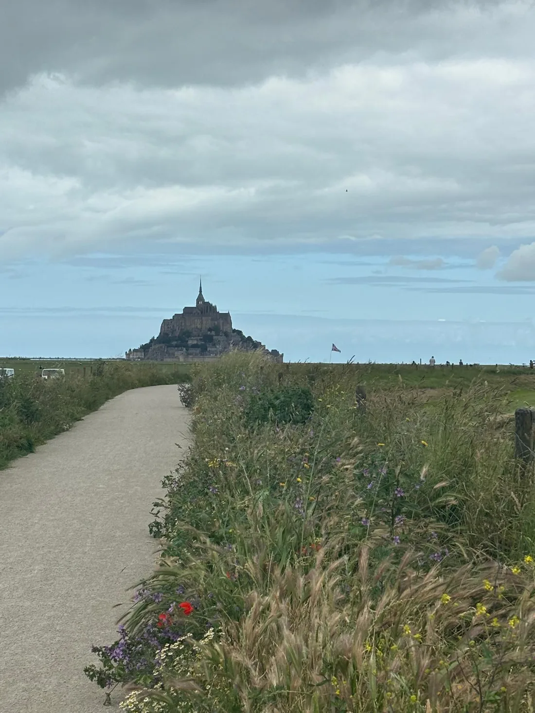 A wildflower path across the salt marsh towards Mont-Saint-Michel