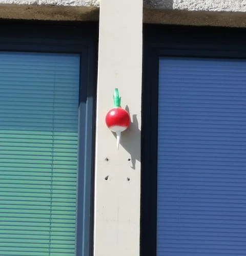 Rennes Private Tour - Brittany's Capital